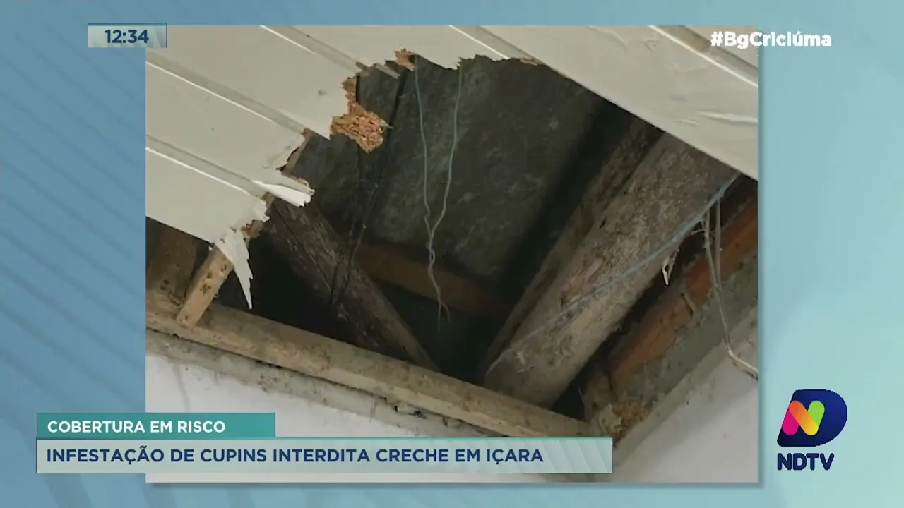 Creche em Içara é interditada por infestação de cupins