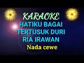 Download Lagu HATIKU BAGAI TERTUSUK DURI. KARAOKE. RIA IRAWAN. Nada cewe.