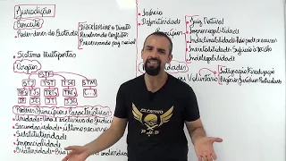 CPC M3A3   Jurisdição