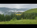 8HRS of Birds Singing and Sounds of Rain and Thunderstorm - Rain in the Carpathian Mountains 4K UHD