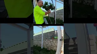 Mainsheet Training for Sailing #shorts