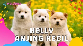 Download 🔴 LAGU ANJING KECIL - HELLY GUK GUK GUK | Lagu Anak Indonesia | Lagu Anak Balita | Lagu anak Terbaru MP3