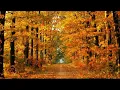 Autumn - Wun Two - musicoflovestory