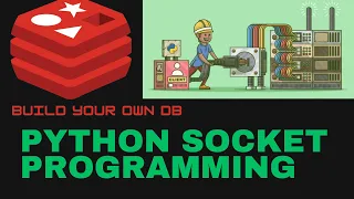 Socket Programming Basics Python Networking