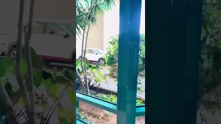 أنا لا أكذب ولكني أتجمل بصوتي أماكن تصوير فوتو سيشن اكسبلور تفاؤل ذهبيات سوشيال ميديا خداع 