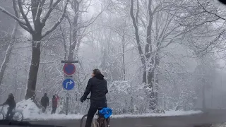 بشعر حبيبي في فرح في الجو أصالة 