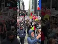 Download Lagu Mahmoud Khalil Protestors In New York Demand His Release
