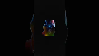 Cigma Officiel Wine Rani وين راني Officiel Music Prod By Sayxon 