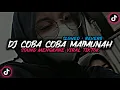 Download Lagu DJ COBA COBA MAIMUNAH (Slowed + Reverb)🎧🎶