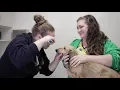 Welcome to All Creatures Veterinary Hospital