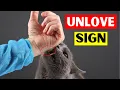 Download Lagu 5 Signs Your CAT DOESN'T LOVE You (Even If You Think They Do)