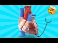Name that heart sound quiz Can You Identify All 9