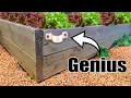 7 Raised Bed Gardening Hacks You ll Wish You Knew Sooner