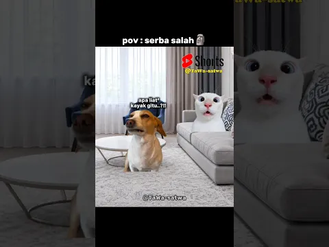 serba salah🗿#meme #kucing #sound #youtube #shorts #viral #catmemes #humor #lawak #catlovers