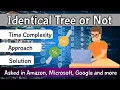 Check if two Trees are Identical or Not C Java Competitive Coding