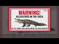 Alligator spotted in North Texas town residents asked to keep their distance