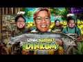 Download Lagu LOMBA MANCING - Dinkum Indonesia Part 6