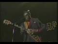 Albert King  - The Sky Is Crying Live Japan 89