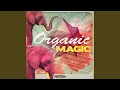 Download Lagu Slow Carnival