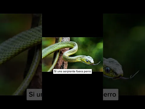Así se verían los animales si evolucionaran a otra especie #shorts