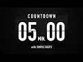5 Minute Countdown Timer Flip Clock with Simple Beeps