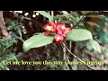 Download Lagu Let me Love you this way - James Engram
