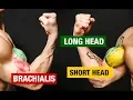 The PERFECT Biceps Workout Sets and Reps Included