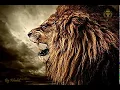 Download Lagu Babylon Feel Dis One - BOB MARLEY (Demo Remastered) Spanish subtitles