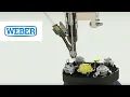 WEBER Principle Feed while you drive