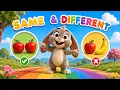 Same and Different Song for Kids Learn Comparing Objects with Dodo