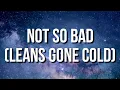 Download Lagu Rae Sremmurd - Not So Bad (Leans Gone Cold) (Lyrics)