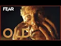 Old 2021 Trailer Fear