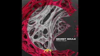 secret souls seed