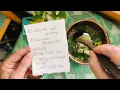 Asmr Spell Crafting - Dream Job