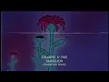 Galantis & JVKE - Dandelion (Pandapush Remix) [Official Audio]