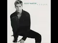 Vuelve - Ricky Martin