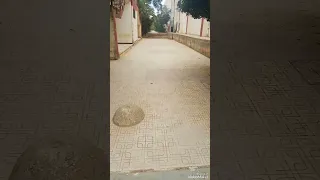 يوم في جامعة الجزائر 2 بوزريعة 