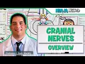 Lagu Neurology | Cranial Nerves: Overview