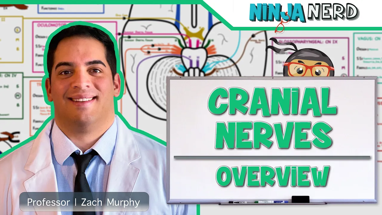 Neurology | Cranial Nerves: Overview
