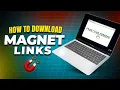 How to Download Magnet Links The Right Way