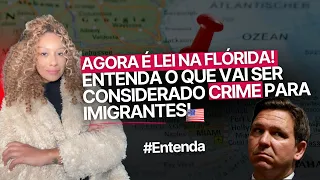 PUNIÇÃO RIGOROSA PARA IMIGRANTES ILEGAIS! #News