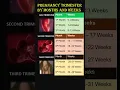How to calculate pregnancy months and weeks Pregnancy guide