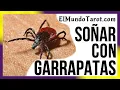 Sonar con Garrapatas Que Significados Tiene