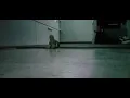 Giantess crush tiny with adidas campus 00s