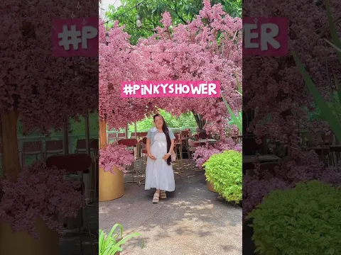 Ya listas para el baby shower en ​PINKYROOM