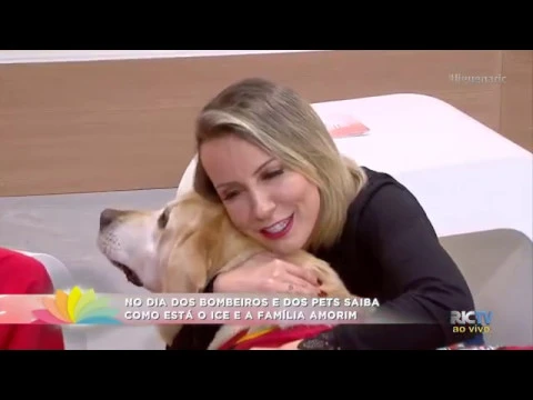 Dia Nacional do Bombeiro: Veja como está o cão Ice