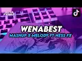 Download Lagu DJ WENABEST LOST CONTROL X MELODY TANTE CULIK AKU DONG CAMPURAN FT NESS FX SLOW MENGKANE 2025