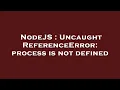NodeJS Uncaught ReferenceError process is not defined
