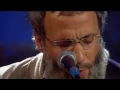 Yusuf - Heaven, Where True Love Goes (Live Yusuf's Cafe Session 2007) + Lyrics