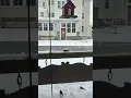 Roscoe Free Library Bird Feeder